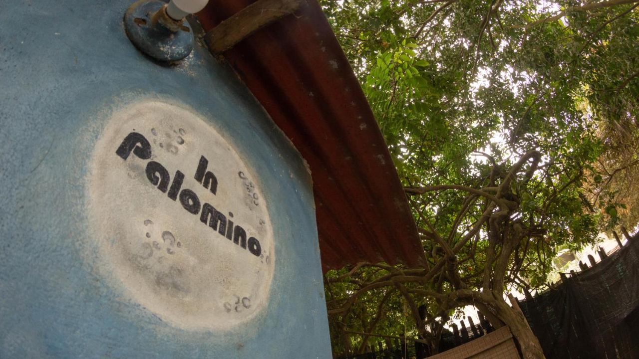 Hostel In Palomino Exterior photo